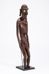 vergrößerte Ansicht: Figur eines männlichen Geistwesens | Moai kavakava, Bild 2