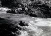 vergrößerte Ansicht: Foto: Am Fluss, Bild 1